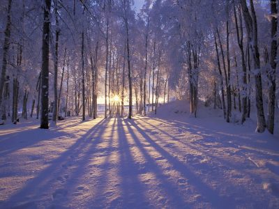 Amaneceres y puestas de Sol. Puesta-de-sol-en-invierno-en-alaska