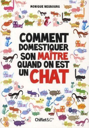 Comment domestiquer son maître quand on est un chat 36085047_8218000