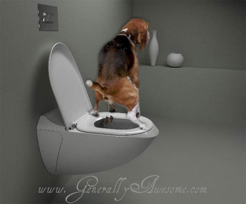 toutou au boulot Dog-on-toilet