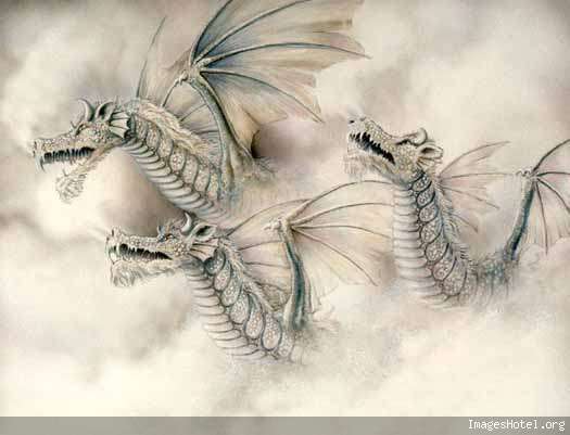 dragon Dragon042
