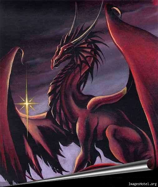 dragon Dragons129