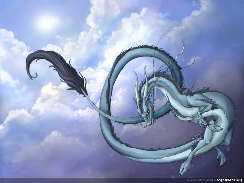 dragon Dragongris