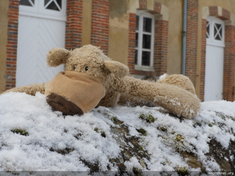 Je découvre la neige!!!  Retraiteaufoyerdecharitdebayefvrier2013057