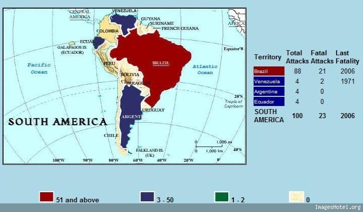 Répartitions des attaques de requins en Amérique du sud. Amerik%20du%20sud%20attak