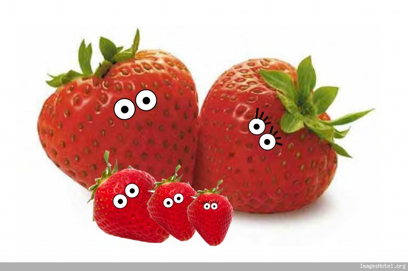 Jeu  " Images en Folie " ( EN PAUSE) - Page 17 Fraises