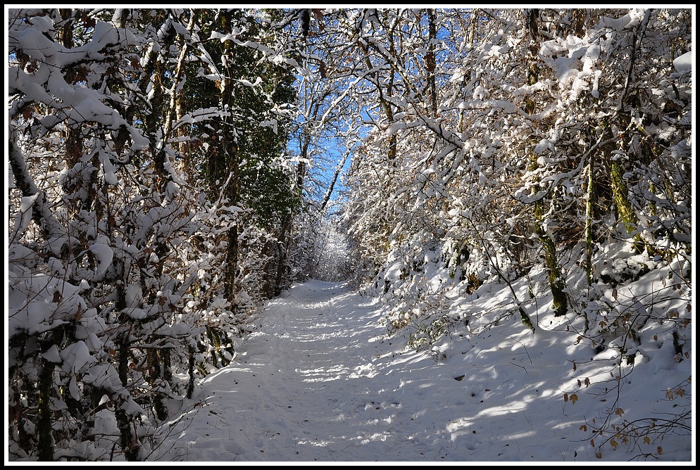 un peu de neige sur les bauges (73) 009