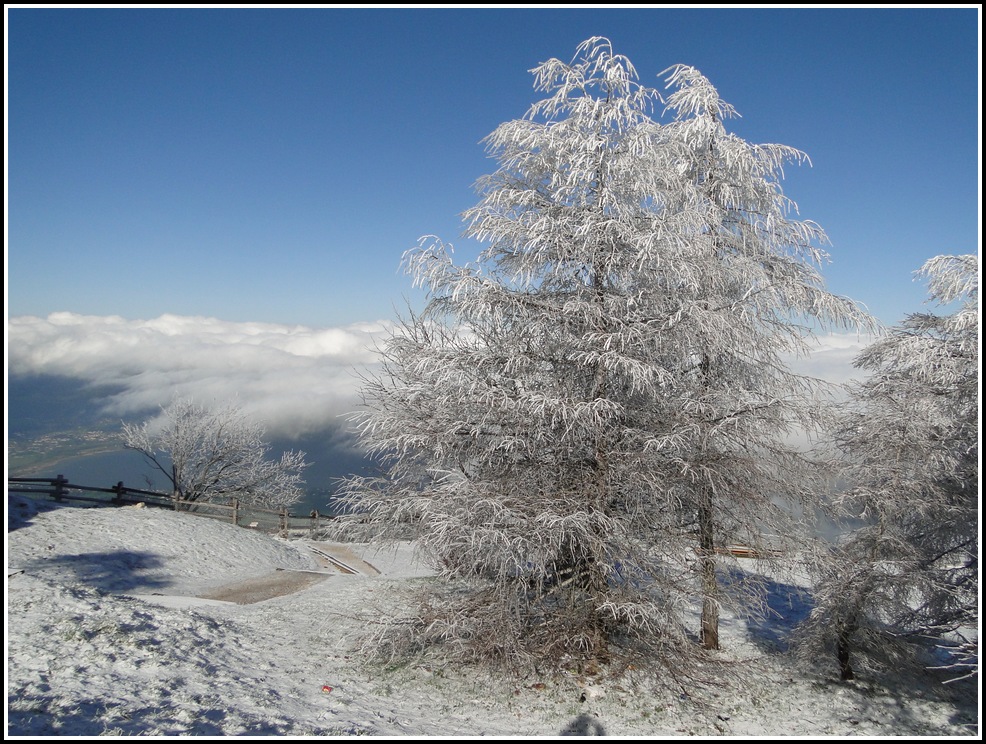 retour de l'hiver Savoie 19/04/2016 Dsc04319