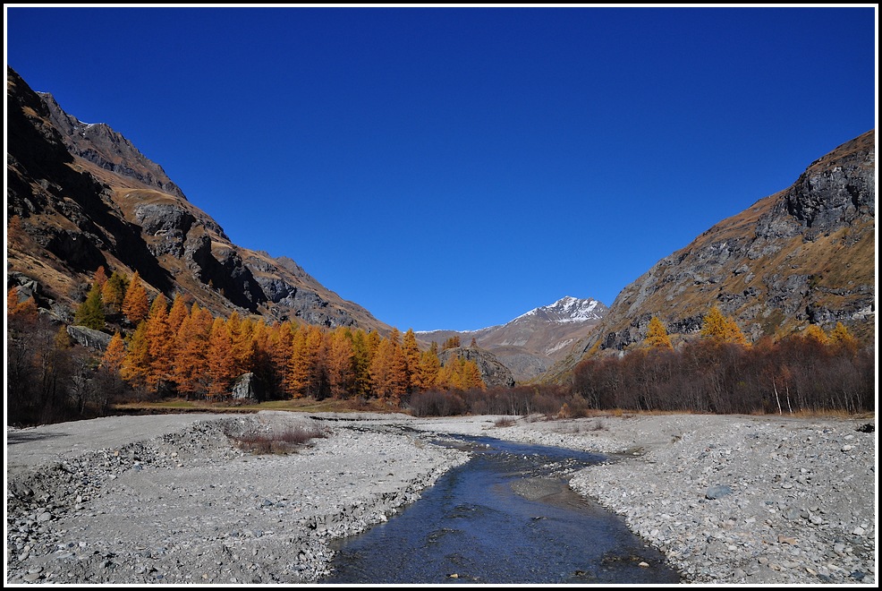 puisque l'on est dans les couleurs d'automne !!! Htemaurienne223