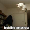 Images tro over lol ptdr & mdr ! Invisiblemotocrossresized