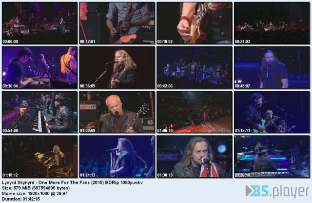 Lynyrd Skynyrd - One More For The Fans (2015) BDRip 1080p Lynyrd-skynyrd-one-more-for-the-fans-2015-bdrip-1080p_idx