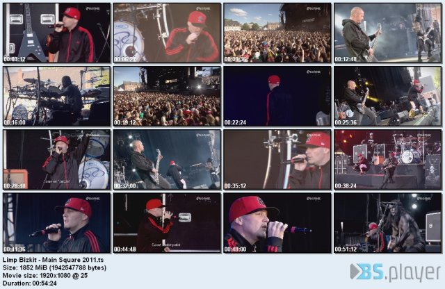 Limp Bizkit - Main Square Festival (2011) HDTV Limp-bizkit-main-square-2011_idx