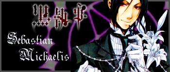 Anju´s Bilder-Galerie - Seite 21 Sebastian_michaelis