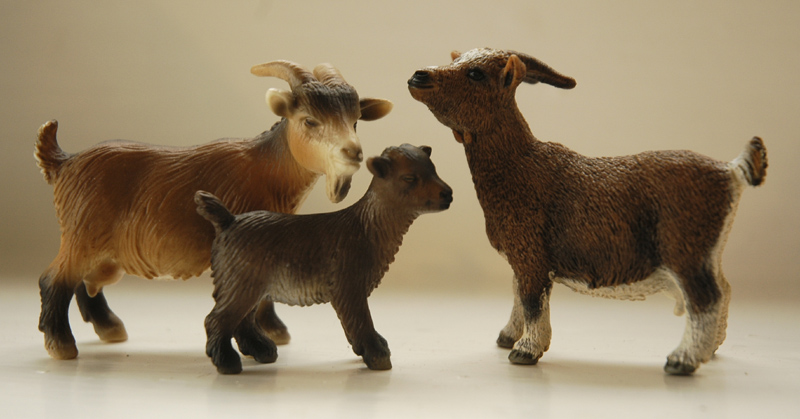 Harriet's schleich additions  - Page 11 Schleichpygmygoats