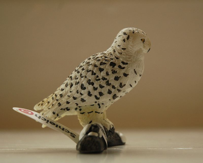 Harriet's schleich additions  - Page 11 Schleichsnowyowl4