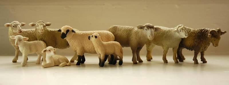 Harriet's schleich additions  - Page 11 Schleichsheep