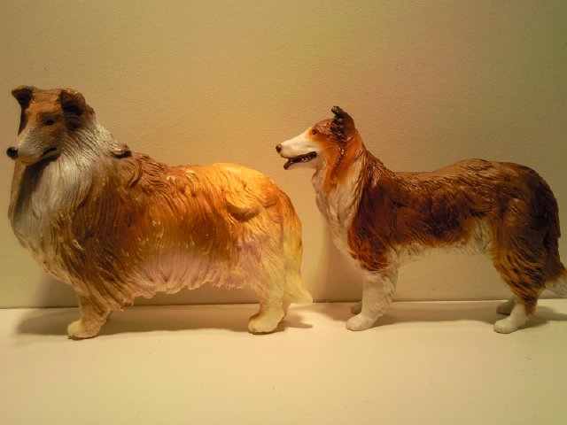 Some dogs from Papo Papo_en_Keenway_Schotse_Collie_1
