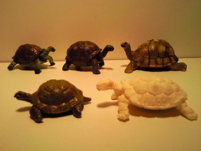 Some Hausser Elastolin Models and one Hong Kong Model came in for August 2011... Reuzenschildpadden_2