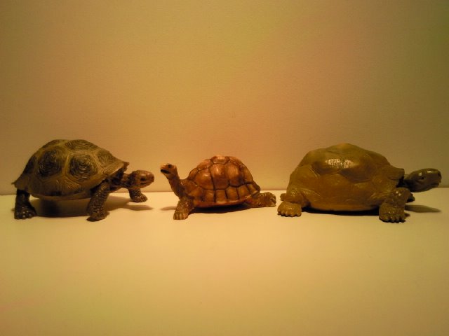 Some Hausser Elastolin Models and one Hong Kong Model came in for August 2011... Reuzenschildpadden_3