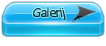 51d83a6884297-Galerij