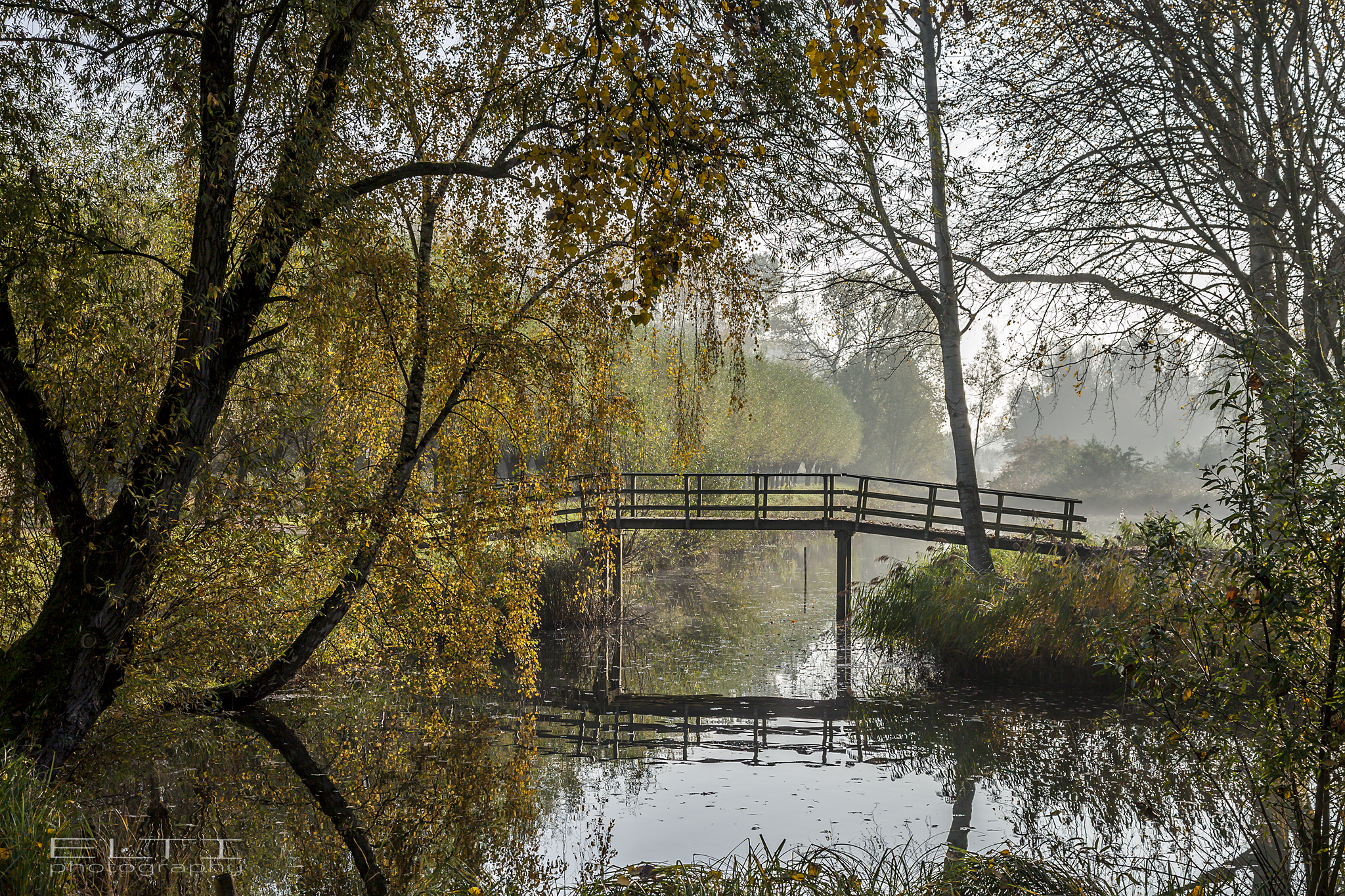 Het is nu echt herfst EXUkuOm