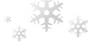 l^koo Logo_snowflakes