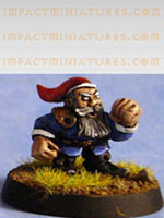 le blood bowl Gnome2