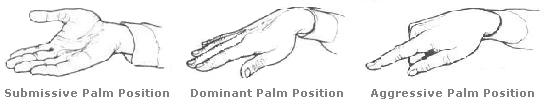 4. Palm gestures  8-31-123