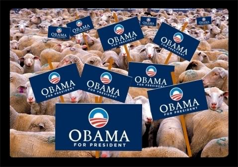 I want to personally thank the liberals in this country.... Obama-sheep