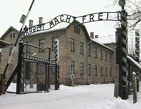  300  CONSELHEIROS VITALICIOS DO PALMEIRAS SERÃO MANDADOS PARA REINAUGURAÇÃO DO CAMPO DE EXTERMINIO AUSCHWITZ- BIRKEN0AU.  HINMELER , HEINDRICH, HOESS , KALTEMBRUNNER   JÁ ESTÁ AGUARDANDO NA PORTARIA DAS CÃMARAS DE GÁS!!! Auschwitz