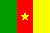 GRUPO E Flag_camerun