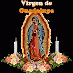 Hoy es día de Nuestra Señora de Guadalupe (MEXICO ) VIRGEN-GUADALUPE-GIFS-4_thumb-300x300