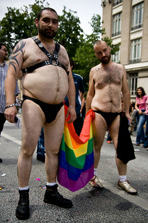 Ils ont ouvert la boite de Pandore - Page 4 Gay-Pride1