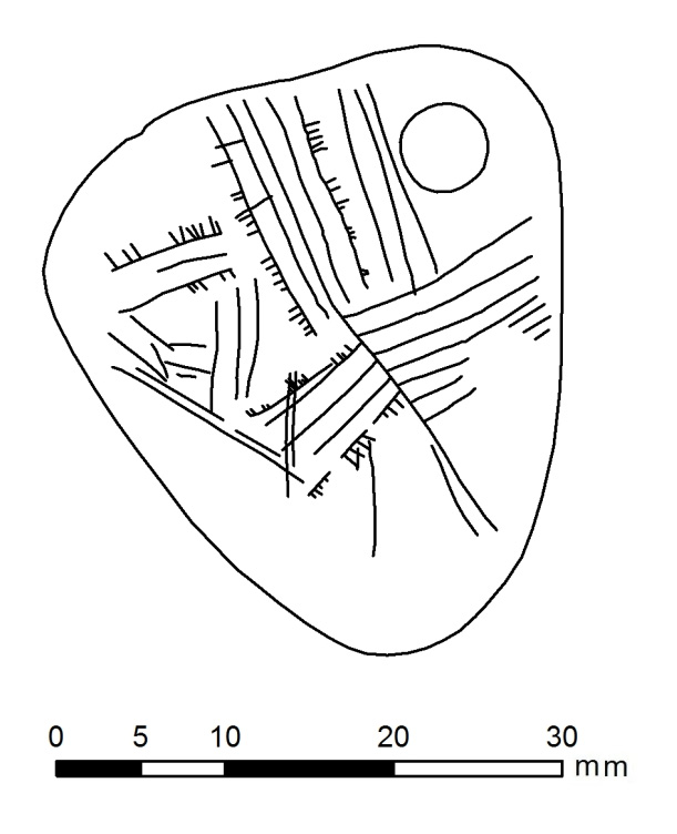  DÉCOUVERTE D’UN MYSTÉRIEUX PENDENTIF MÉSOLITHIQUE EN ANGLETERRE 5494dqwc