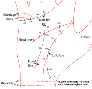 which time scale of fate line fits in your practice? Palmistry