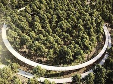 Bosland Hechtel-Eksel (Fietsen door de bomen) Volgend-jaar-fietsen-door-de-bomen