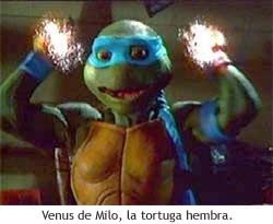 Las Tortugas Ninja Tmnt_venus