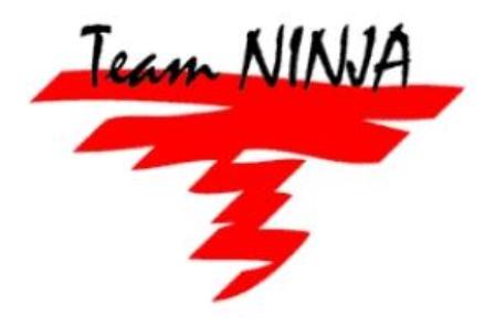 Nuovo titolo Team Ninja Tninja