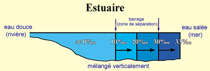 les mers et les rivières dans le coran. Ch1-1-e-img2