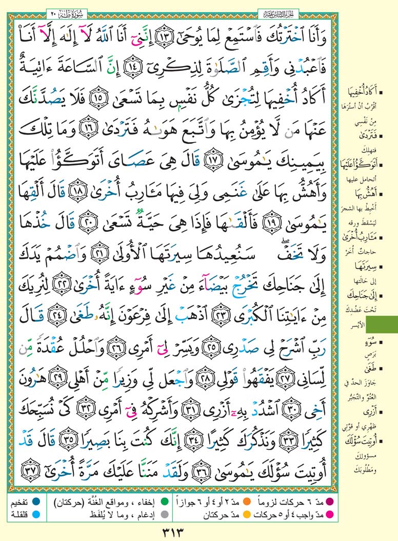   تفسير سورة طَهَ صفحة 313 من القرآن الكريم للشيخ الشعراوي	 313