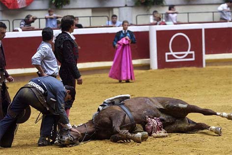 Cataluña prohíbe los toros - Página 4 San%20Sebastian%20gored%20horse%202