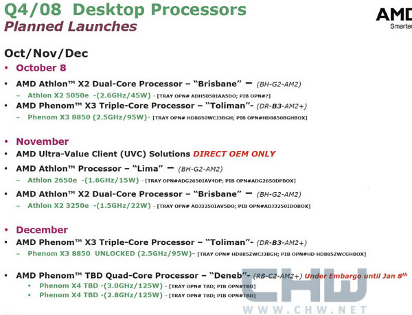   AMD   Q4 2008 AMDroadmaplogo