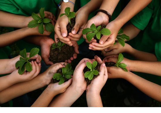 Priče.....  - Page 4 Kids-hands-holding-plants