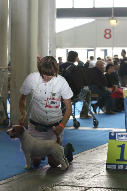 Expo Dog - Pagina 3 51-3