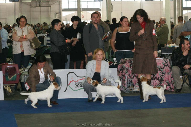 Expo Dog - Pagina 3 59-60-61