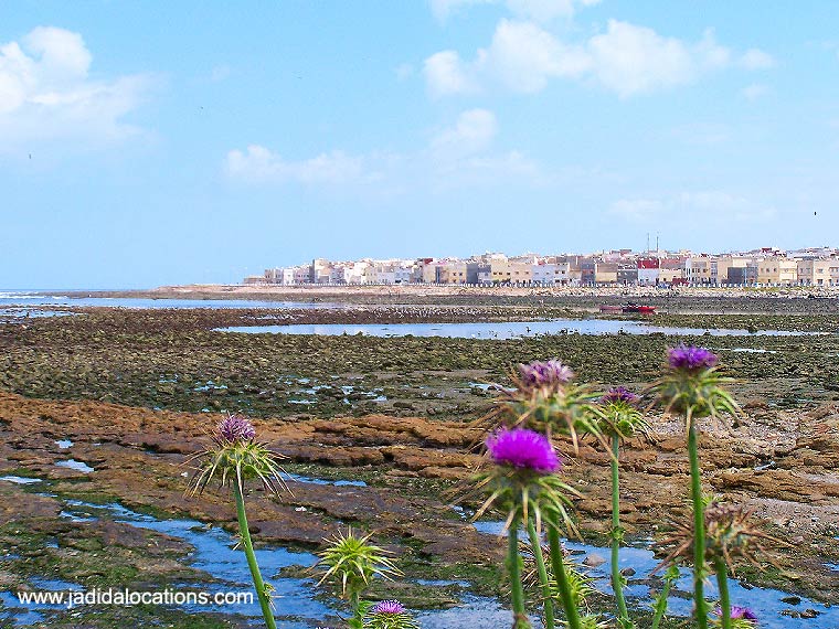 صور من بلادي - صفحة 2 Nouvelle-corniche0