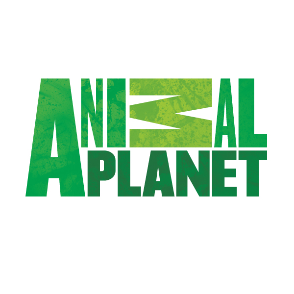 El Rey se rompe la cadera - Página 2 Animal-planet-logo