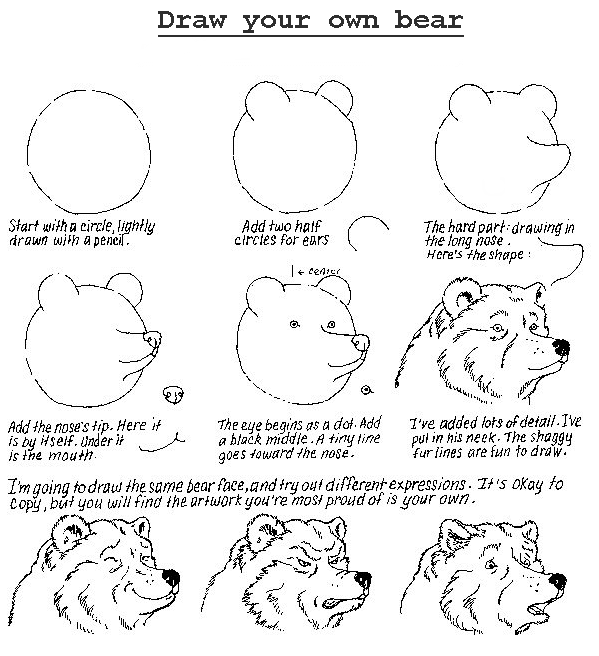 تعلموا الرسم (الجزء الاول) Learn_to_draw_a_bear