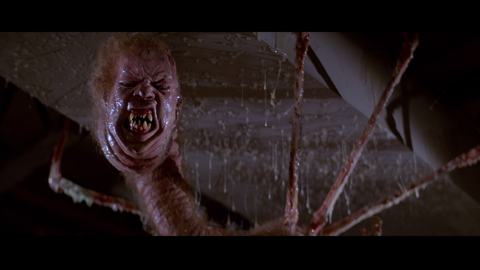 [Pop Culture Shock] The Thing (O Enigma de Outro Mundo) The-thing