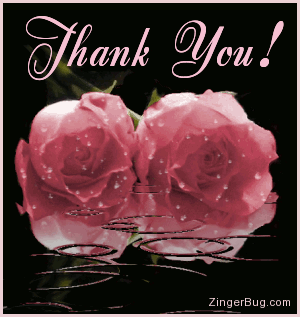 ثق انك لست وحدك 2008-8-12_6851_thank_you_pink_roses_with_raindrops