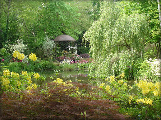 Jardin de derrire Jardin_petit_bordeaux_00